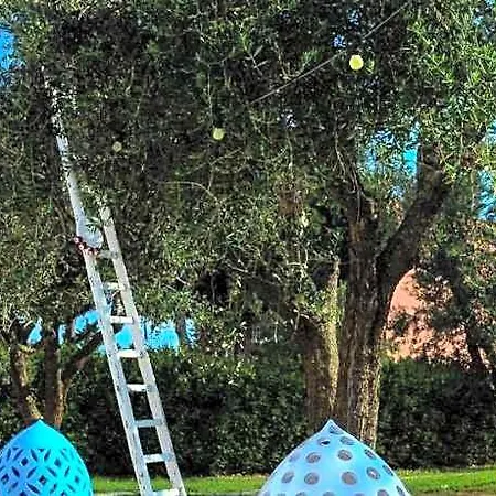 Masseria Monache Bed & Breakfast San Pietro Vernotico