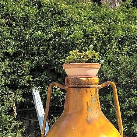 Masseria Monache Bed & Breakfast